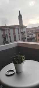 a potted plant sitting on a table on a balcony at Adda House in Trezzo sullʼAdda
