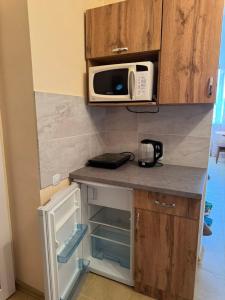 a kitchen with a counter with a microwave at Promenad San in Dobrovelychkivka