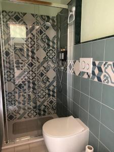 a bathroom with a toilet and a shower at La Gradinata in Gonnosfanàdiga