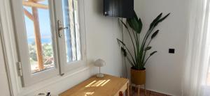 ein Zimmer mit einer Topfpflanze und einem Fenster in der Unterkunft Marvia Studios in Vourkari