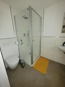 a bathroom with a shower and a toilet and a sink at Lauberhof in Trippstadt