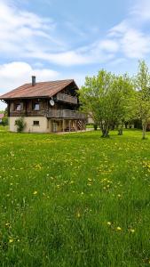 a house in a field of green grass with flowers at O'Doubs Chalet in La Chaux Neuve