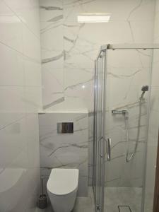 a white bathroom with a toilet and a shower at TRIO HoSteL in Hajnówka