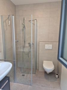 a bathroom with a shower and a toilet at Studio in Wincheringen in Wincheringen