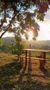 a wooden bench sitting under a tree with the setting sun at Sitio Vale Verde da Serra in Monte Verde
