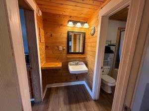 a bathroom with a sink and a toilet at Rustic Inn in Park Rapids +23 photos