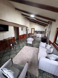 a living room with white couches and a dog in it at Casa Maya Modern central and pet friendly in Futaleufú