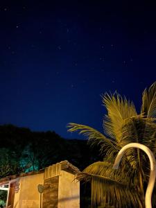 a starry night with palm trees in front of a building at Casa na Serra Canto do Jair in Casimiro de Abreu