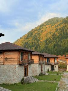 a group of wooden buildings with a mountain in the background at Panorama Gomarduli in Shuakhevi
