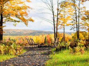 three chairs sitting on a gravel road in the woods at Timber Baron Inn in Bayfield