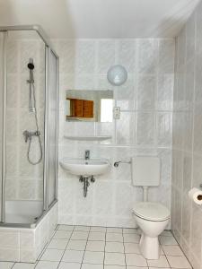 a bathroom with a toilet and a sink at Finnhaus Fiete in Marlow