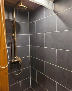 a bathroom with a black tiled wall with a shower at Ferienhaus-Sauna Pool Whirlpool in Grimma