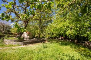 a garden with a stone wall and trees at Eligia home in Angouselianá
