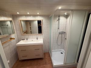 a bathroom with a shower and a sink and a shower at GITE LA FREYDIERE in La Bégude-de-Mazenc +24 photos