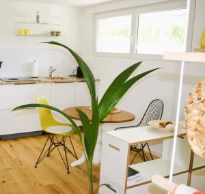 a plant in a kitchen with chairs and a table at #studio 19 in Saint-Léonard