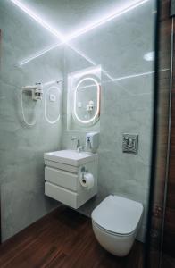 a bathroom with a toilet and a sink and mirror at Villa Dislievski in Ohrid +48 photos