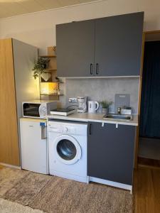 a kitchen with a washing machine and a sink at Andsuuria Apartment in Paide