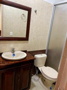 a bathroom with a toilet and a sink and a mirror at La finca de dulce in Silvania +17 photos