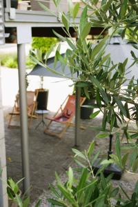 a view of a patio with chairs and plants at #studio 19 in Saint-Léonard