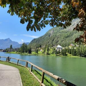 a view of a lake with a fence next to it at Cèsa Cusenza in Rocca Pietore