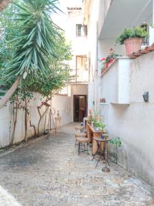 an alley with chairs and tables and a palm tree at Moon e Sky in Tirana