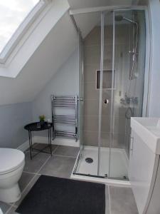 a bathroom with a shower with a toilet and a sink at The Coast House in Kilmore +38 photos