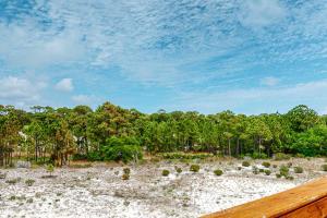 a beach with cacti on the sand and trees at Bale Oasis in Dauphin Island