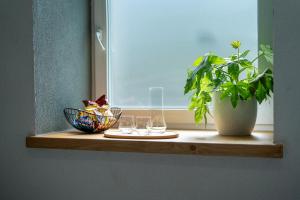 a window sill with two glasses and a potted plant at Rezidence 14 Nový Bor in Nový Bor +39 photos