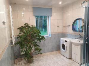 a bathroom with a washing machine and a plant at ALE WIDOKI Apartamenty Gościnne in Giebło