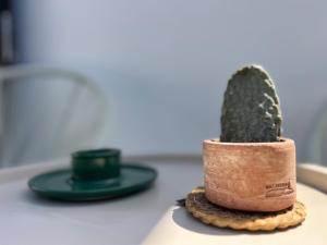 a cactus in a pot on a counter with two plates at Habitación de invitados Casa Lume in Tahiche