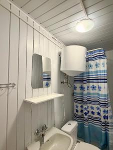 ein Badezimmer mit Toilette, Waschbecken und Spiegel in der Unterkunft Nova Mazury in Święta Lipka