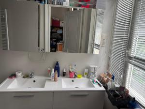 a bathroom with a white sink and a mirror at partie jasmin in Brussels +12 photos