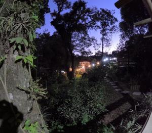 a garden at night with lights in the background at Tiny House II - experiência de refúgio exclusivo in Gravataí