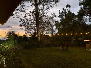 a lit up yard with a table and lights at Cumbre Serena by Montea in Empalme