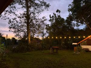 a lit up yard with a table and lights at Cumbre Serena by Montea in Empalme