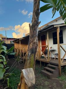 a house with a coconut tree in front of it at Hospedaje Maika Rapa Nui in Hanga Roa