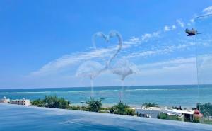 two flamingos standing on the edge of a swimming pool at Private Suite, Walk to the Beach, Oceanview Rooftop Pool, WiFi StarLink in Puerto Morelos +27 photos