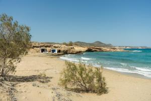a sandy beach with trees and the ocean at Thavma Beach House in Mytakas