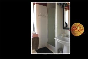a bathroom with a shower and a sink at Manoir de Livet in Saint-Germain-de-Livet
