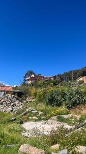 a field of rocks and grass with a house in the background at Hostal Inti Wayra in Comunidad Yumani +32 photos