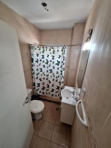 a bathroom with a toilet and a sink and a shower at Complejo la Superiora in Villa Krause