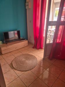 a room with a television and a rug on the floor at Residence le bounty in Sainte-Luce