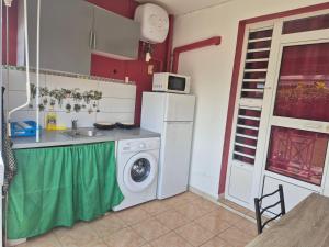 a kitchen with a washing machine and a sink at Residence le bounty in Sainte-Luce