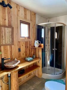 a bathroom with a glass shower and a sink at Refugio del Chucao in Llanada Grande +72 photos