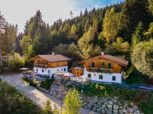 an aerial view of a house in a forest at Lisa in Piesendorf