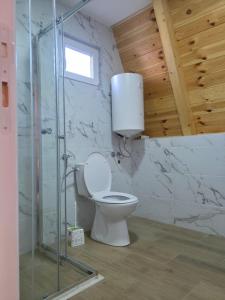 a bathroom with a toilet and a glass shower at Mountain Houses Jakov in Žabljak
