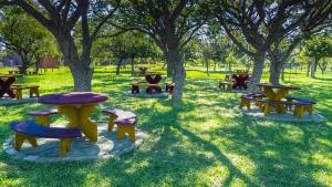 a group of picnic tables in a park with trees at Cabañas Las Macluras in Colastiné
