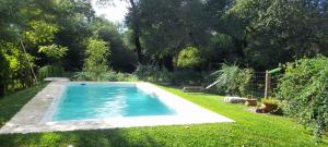 a swimming pool in the middle of a yard at Cabaña Win en el Bosque, RUNA YAKU in San Lorenzo