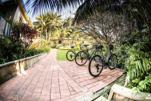 شقق سومرست في جزيرة لورد هاو: مجموعة من الدراجات متوقفة على مسار من الطوب