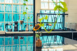 a room with a pool of water with a plant at The Nomad Hostel - SJO Airport San Jose 5 min - Private, WiFi & Coffee in Alajuela